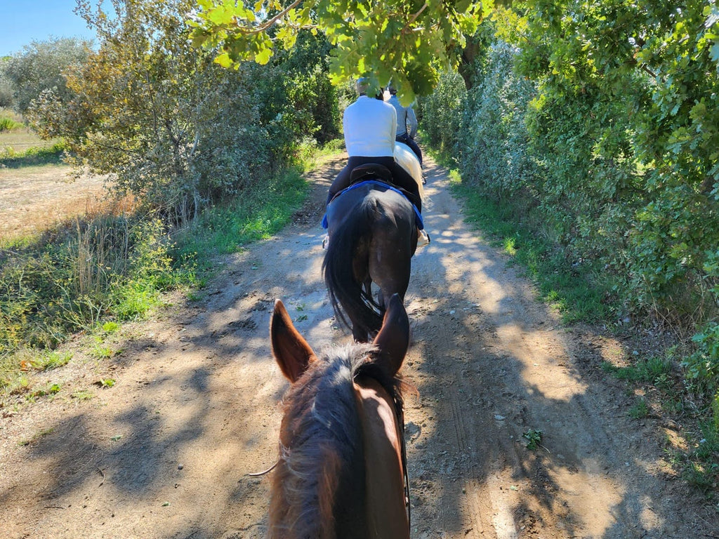 Exploring Maremma on Horseback
